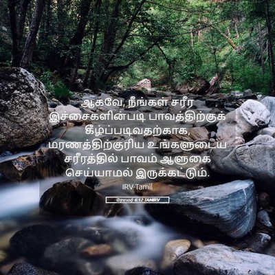 Picture 05 - ரோமர் 6:12 TAMIRV - ஆகவே, நீங்கள் சரீர - Bible Verse Picture