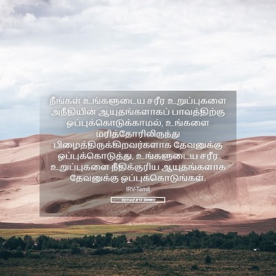 Picture 05 - ரோமர் 6:13 TAMIRV - நீங்கள் உங்களுடைய - Bible Verse Picture