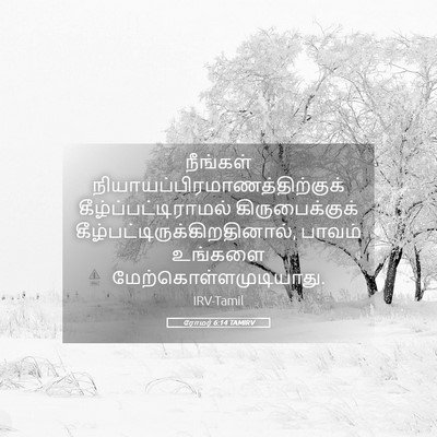 Picture 05 - ரோமர் 6:14 TAMIRV - நீங்கள் - Bible Verse Picture