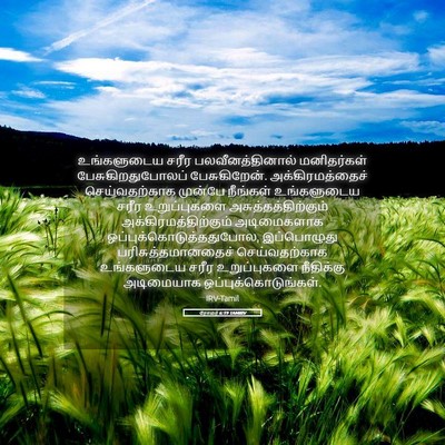 Picture 05 - ரோமர் 6:19 TAMIRV - உங்களுடைய சரீர - Bible Verse Picture