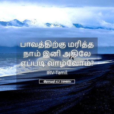 Picture 05 - ரோமர் 6:2 TAMIRV - பாவத்திற்கு - Bible Verse Picture
