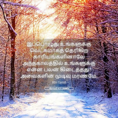 Picture 05 - ரோமர் 6:21 TAMIRV - இப்பொழுது - Bible Verse Picture