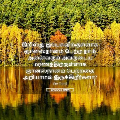 Picture 05 - ரோமர் 6:3 TAMIRV - கிறிஸ்து - Bible Verse Picture