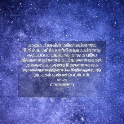 Picture 05 - ரோமர் 6:4 TAMIRV - மேலும் பிதாவின் - Bible Verse Picture