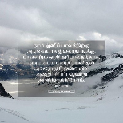 Picture 05 - ரோமர் 6:6 TAMIRV - நாம் இனிப் - Bible Verse Picture