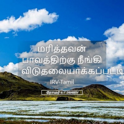 Picture 05 - ரோமர் 6:7 TAMIRV - மரித்தவன் - Bible Verse Picture