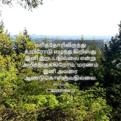 Picture 05 - ரோமர் 6:9 TAMIRV -  - Bible Verse Picture