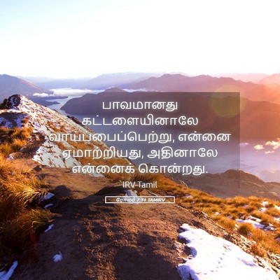 Picture 05 - ரோமர் 7:11 TAMIRV - பாவமானது - Bible Verse Picture