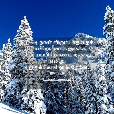 Picture 05 - ரோமர் 7:16 TAMIRV - இப்படி நான் - Bible Verse Picture