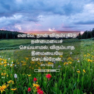 Picture 05 - ரோமர் 7:19 TAMIRV - எனவே, நான் - Bible Verse Picture