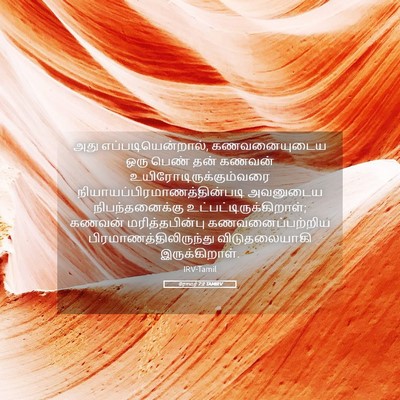 Picture 05 - ரோமர் 7:2 TAMIRV - அது - Bible Verse Picture