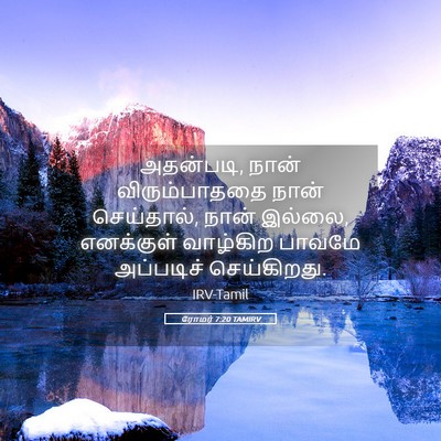 Picture 05 - ரோமர் 7:20 TAMIRV - அதன்படி, நான் - Bible Verse Picture
