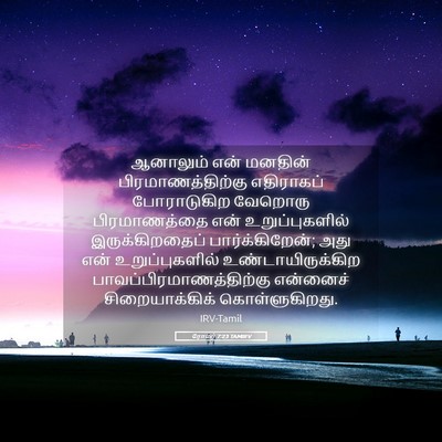 Picture 05 - ரோமர் 7:23 TAMIRV - ஆனாலும் என் - Bible Verse Picture