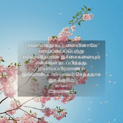 Picture 05 - ரோமர் 7:8 TAMIRV - பாவமானது - Bible Verse Picture