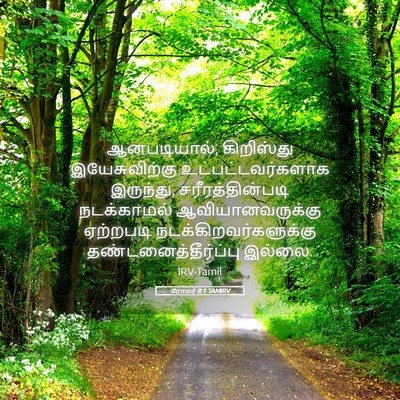 Picture 05 - ரோமர் 8:1 TAMIRV - ஆனபடியால், - Bible Verse Picture