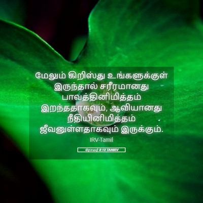 Picture 05 - ரோமர் 8:10 TAMIRV - மேலும் கிறிஸ்து - Bible Verse Picture