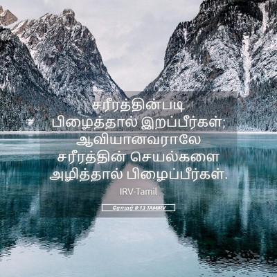 Picture 05 - ரோமர் 8:13 TAMIRV - சரீரத்தின்படி - Bible Verse Picture