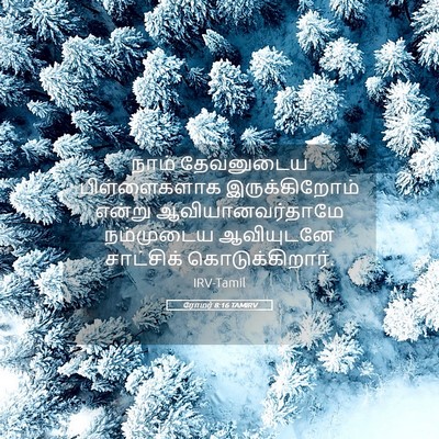 Picture 05 - ரோமர் 8:16 TAMIRV - நாம் தேவனுடைய - Bible Verse Picture
