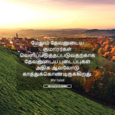 Picture 05 - ரோமர் 8:19 TAMIRV - மேலும் தேவனுடைய - Bible Verse Picture