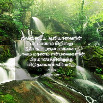 Picture 05 - ரோமர் 8:2 TAMIRV - ஜீவனுடைய - Bible Verse Picture