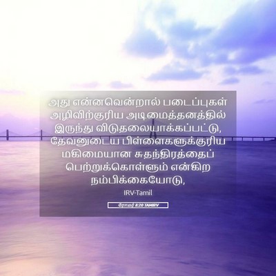 Picture 05 - ரோமர் 8:20 TAMIRV - அது என்னவென்றால் - Bible Verse Picture