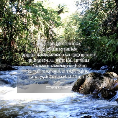 Picture 05 - ரோமர் 8:23 TAMIRV - அதுவும் இல்லாமல், - Bible Verse Picture