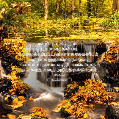 Picture 05 - ரோமர் 8:28 TAMIRV - அன்றியும், - Bible Verse Picture