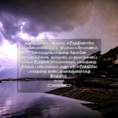 Picture 05 - ரோமர் 8:3 TAMIRV - அது - Bible Verse Picture