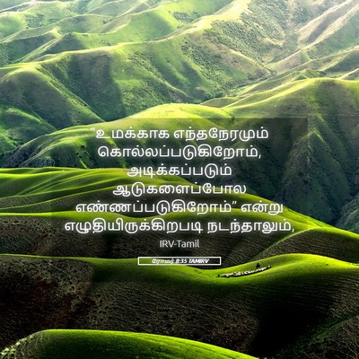 Picture 05 - ரோமர் 8:35 TAMIRV - “உமக்காக - Bible Verse Picture