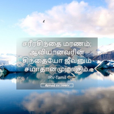 Picture 05 - ரோமர் 8:6 TAMIRV - சரீரசிந்தை மரணம்; - Bible Verse Picture