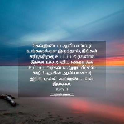 Picture 05 - ரோமர் 8:9 TAMIRV - தேவனுடைய - Bible Verse Picture