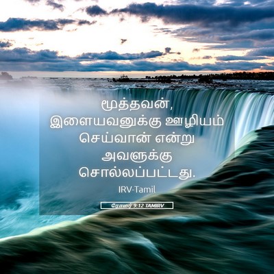 Picture 05 - ரோமர் 9:12 TAMIRV - மூத்தவன், - Bible Verse Picture