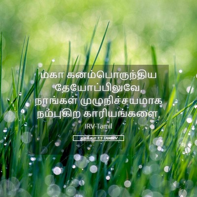 Picture 05 - லூக்கா 1:1 TAMIRV - மகா கனம்பொருந்திய - Bible Verse Picture