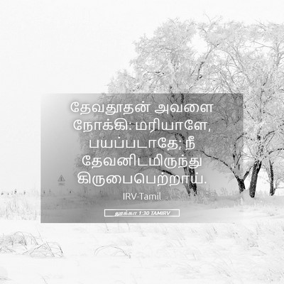 Picture 05 - லூக்கா 1:30 TAMIRV - தேவதூதன் அவளை - Bible Verse Picture