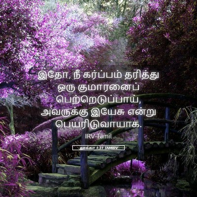Picture 05 - லூக்கா 1:31 TAMIRV - இதோ, நீ கர்ப்பம் - Bible Verse Picture