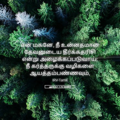 Picture 05 - லூக்கா 1:76 TAMIRV - என் மகனே, நீ - Bible Verse Picture