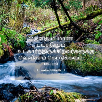 Picture 05 - லூக்கா 1:78 TAMIRV - இருளிலும், மரண - Bible Verse Picture