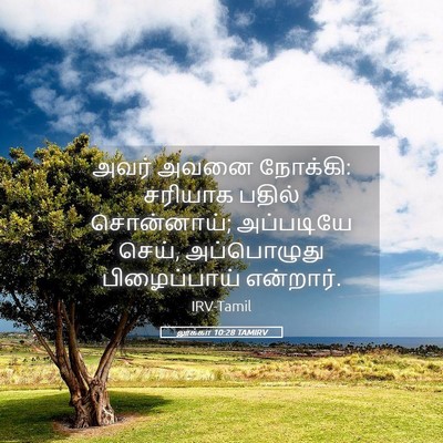 Picture 05 - லூக்கா 10:28 TAMIRV - அவர் அவனை நோக்கி: - Bible Verse Picture