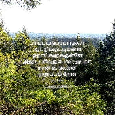Picture 05 - லூக்கா 10:3 TAMIRV -  - Bible Verse Picture
