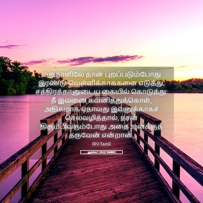 Picture 05 - லூக்கா 10:35 TAMIRV - மறுநாளிலே தான் - Bible Verse Picture