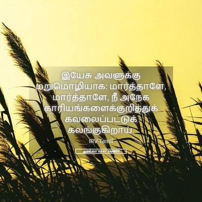 Picture 05 - லூக்கா 10:41 TAMIRV - இயேசு அவளுக்கு - Bible Verse Picture