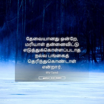 Picture 05 - லூக்கா 10:42 TAMIRV - தேவையானது ஒன்றே, - Bible Verse Picture