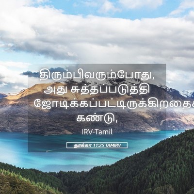 Picture 05 - லூக்கா 11:25 TAMIRV -  - Bible Verse Picture
