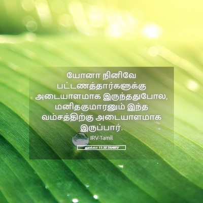 Picture 05 - லூக்கா 11:30 TAMIRV - யோனா நினிவே - Bible Verse Picture