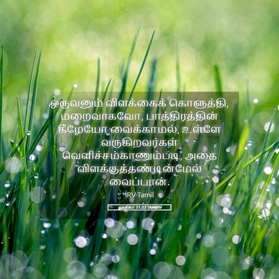 Picture 05 - லூக்கா 11:33 TAMIRV - ஒருவனும் - Bible Verse Picture