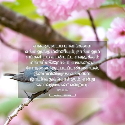 Picture 05 - லூக்கா 11:4 TAMIRV - எங்களுடைய - Bible Verse Picture