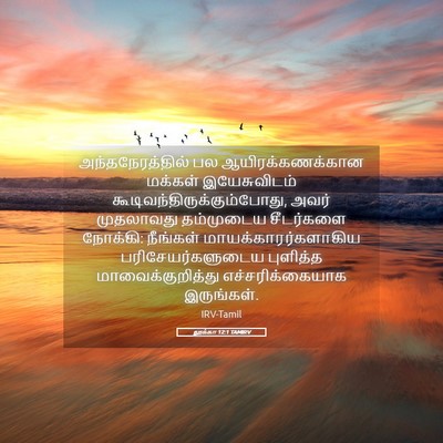 Picture 05 - லூக்கா 12:1 TAMIRV - அந்தநேரத்தில் பல - Bible Verse Picture