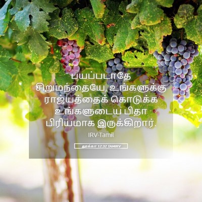 Picture 05 - லூக்கா 12:32 TAMIRV - பயப்படாதே - Bible Verse Picture