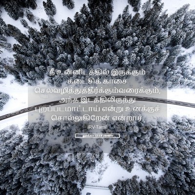 Picture 05 - லூக்கா 12:59 TAMIRV - நீ உன்னிடத்தில் - Bible Verse Picture