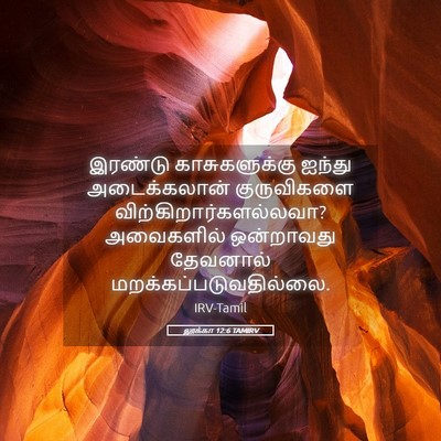 Picture 05 - லூக்கா 12:6 TAMIRV - இரண்டு - Bible Verse Picture